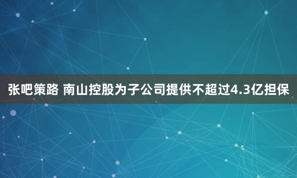 张吧策路 南山控股为子公司提供不超过4.3亿担保