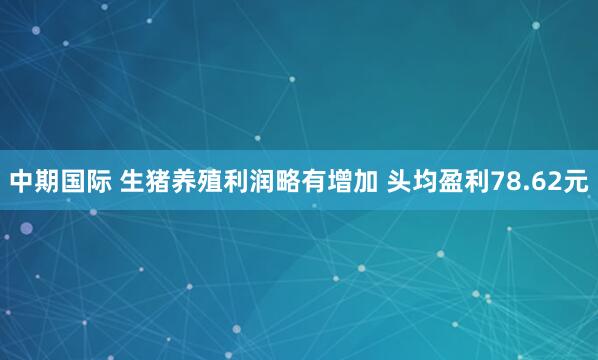 中期国际 生猪养殖利润略有增加 头均盈利78.62元