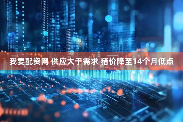 我要配资网 供应大于需求 猪价降至14个月低点