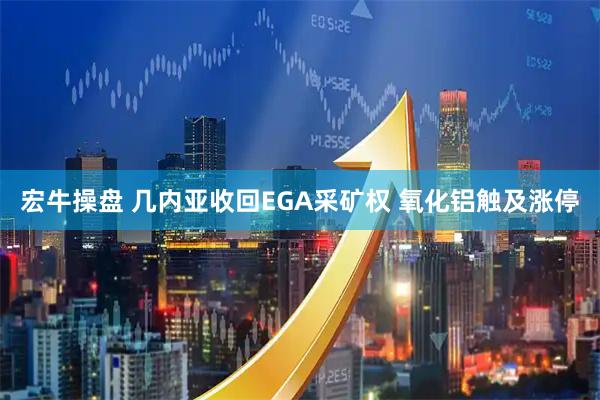 宏牛操盘 几内亚收回EGA采矿权 氧化铝触及涨停
