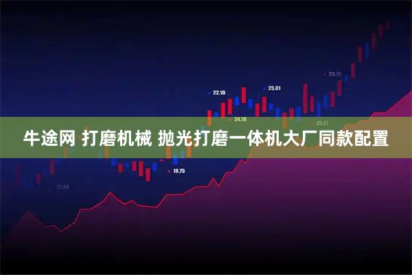 牛途网 打磨机械 抛光打磨一体机大厂同款配置
